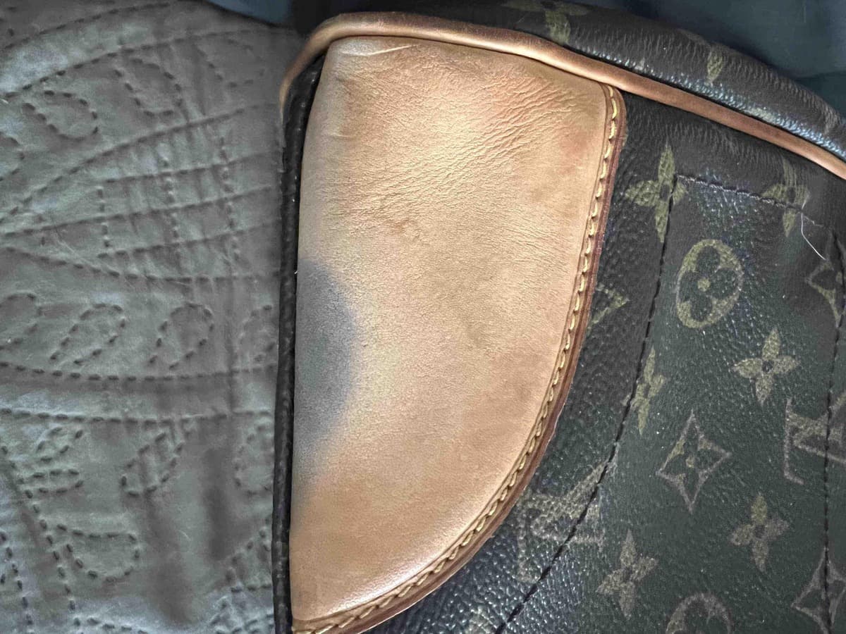 How to remove mold from leather bag - Prevention and Home Remedies